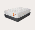 Karma Elite 2 Hybrid Super Cush