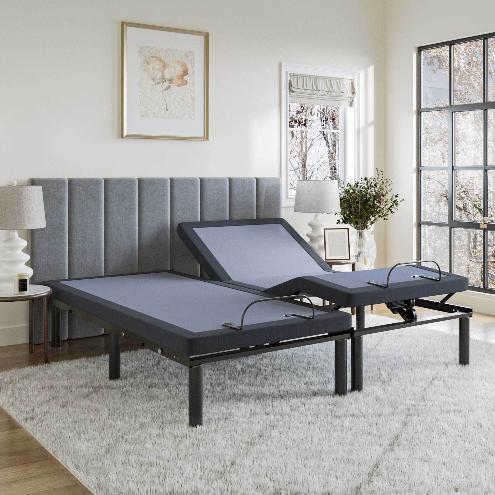 BT2500 Adjustable Bed