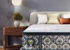 Serta Cascade Range Plush Pillow Top